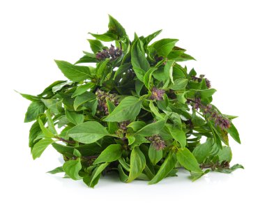 Reyhan beyaz zemin üzerine