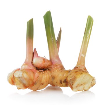 Beyaz arkaplanda Galangal