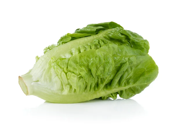 Fresh baby cos (lettuce) on white background — Stock Photo, Image