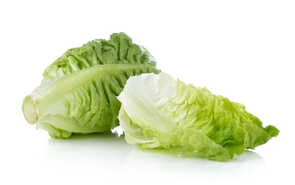 Fresh baby cos (lettuce) on white background — Stock Photo, Image