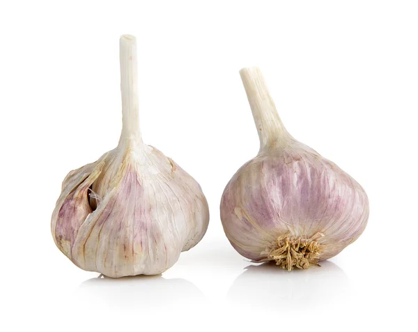 Garlic on white background — Stock Photo, Image