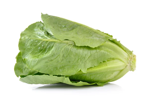 Frische cos (Salat) auf weißem Hintergrund — Stockfoto