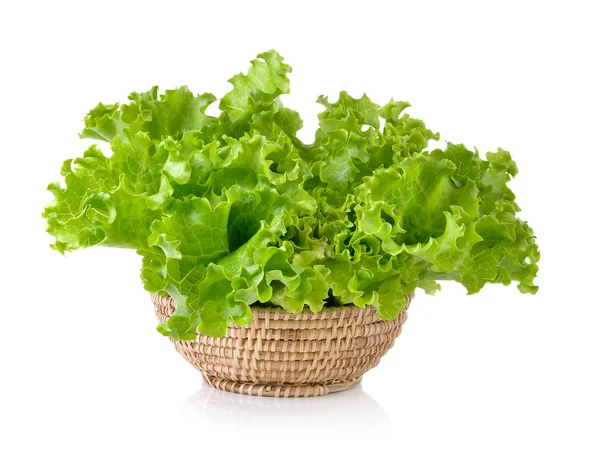 Friss zöld saláta, a kosárba, elszigetelt fehér background — Stock Fotó