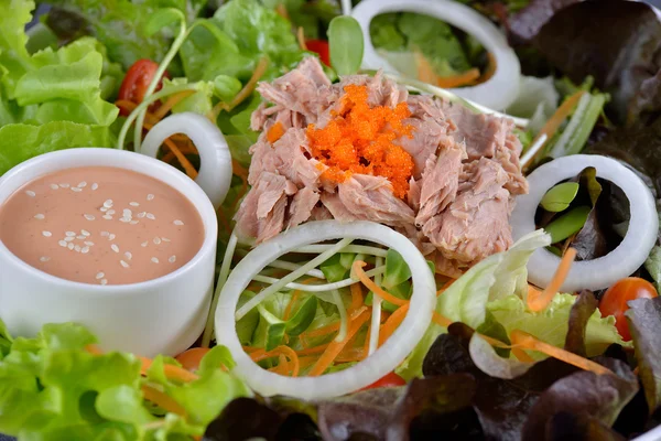 Tuna and vegetables salad — Stock Photo, Image