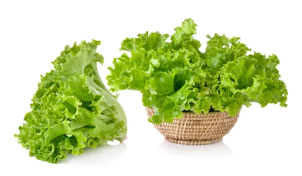 Fresh green lettuce in the basket isolated on a white background — Stock Photo, Image