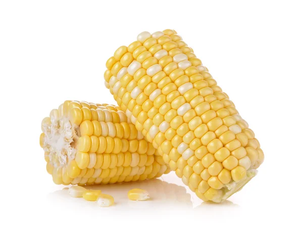 Corn on white background — Stock Photo, Image