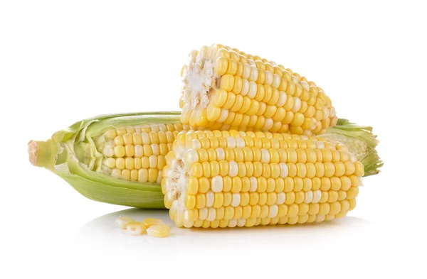 Corn on white background — Stock Photo, Image
