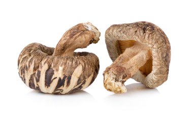 Beyaz arkaplanda tarhun otları