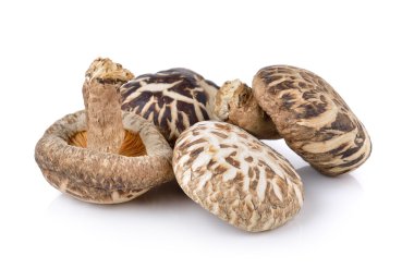 shiitake mantar beyaz