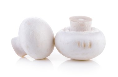 Şampiyon Mantarı beyaz arkaplanda izole edildi