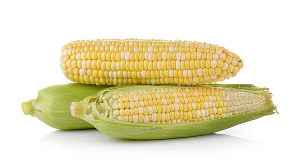 Corn on white background — Stock Photo, Image