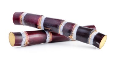 Beyaz arkaplanda şeker kamışı