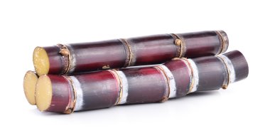 Beyaz arkaplanda şeker kamışı