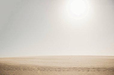 Altın çöl kum tepeleri sığ bir tarla ve güneş derinliğiyle ele geçirildi.