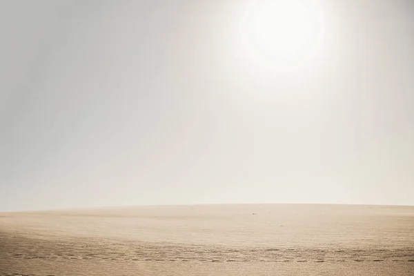 Golden desert dunes taken with a shallow depth of field and sun