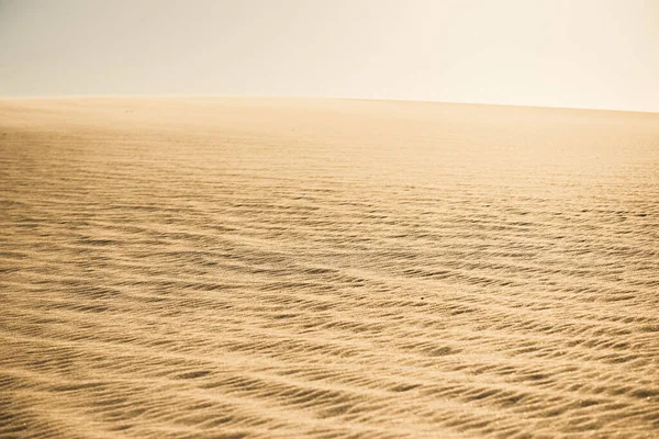 Golden Desert Dunes Taken Shallow Depth Field — Stock Photo, Image