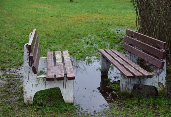 公園内の2つのベンチとそれらの間の大きな水たまり — ストック写真