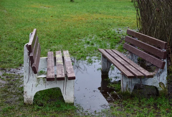 Laat Herfst Twee Banken Het Park Een Grote Plas Ertussen — Stockfoto