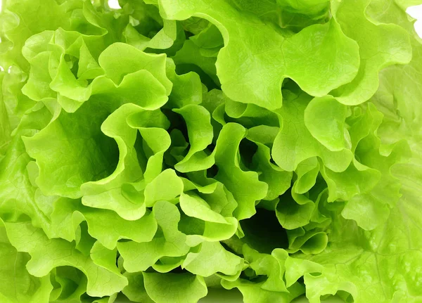 Fechar Vista Superior Folhas Salada Verde — Fotografia de Stock