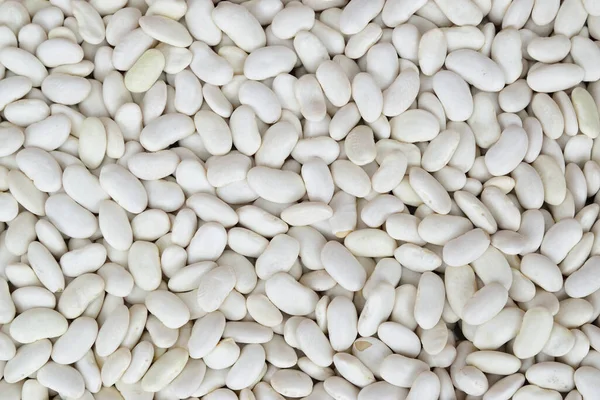 Top View Thick Layer White Beans Laid Out Horizontal Surface — Stock Photo, Image