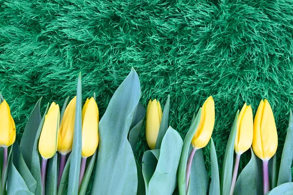 Yellow tulip flowers arranged in a row at the bottom of the image. Flowers lie on artificial green grass.