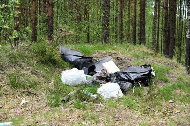 Yolun yakınındaki bir ormanda bulunan bir çöp yığını. Ekoloji ve atık işleme sorunları.
