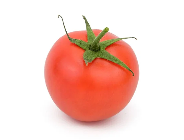 红色成熟番茄的特写 茎突出 花萼张开 因白人背景而被隔离 — 图库照片