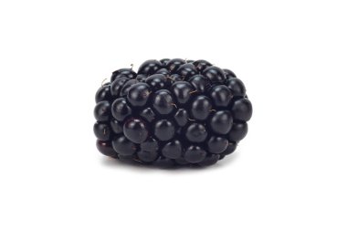 Bir böğürtlen beyaz arka planda izole edilmiş ve altında bir ışık gölgesi var. Olgun taneler ışığı yansıtır.