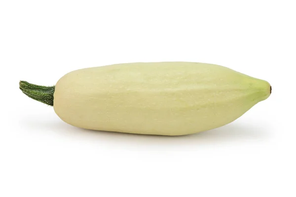 Reife Salatfarbene Zucchini Mit Einer Dunkelgrünen Schote Und Einem Leichten — Stockfoto