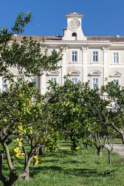 Reggia di Portici, Macchine agricole — стокове фото