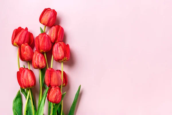Row of red tulips on concrete background with space for text, message 8 March, Happy Valentine\'s day, Mother\'s, Memorial, Teacher\'s day, Hello spring concept Holiday card Flat lay Top view