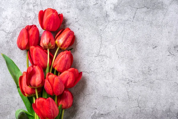 Fila Tulipanes Rojos Sobre Fondo Concreto Con Espacio Para Texto —  Fotos de Stock