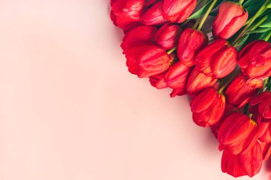 Pembe arka planda kırmızı laleler, mesaj için boşluk, 8 Mart, Sevgililer Günü, Anneler Günü, Anma Günü, Öğretmenler Günü, Merhaba bahar konsepti..