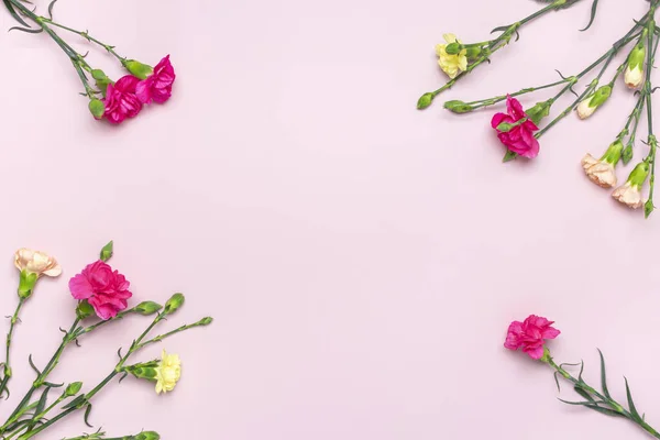 Boeket van roze anjer bloem geïsoleerd op roze achtergrond Top view Flat lay Vakantie kaart 8 maart, Gelukkige Valentijnsdag, Moeders, Memorial, Leraren dag concept — Stockfoto