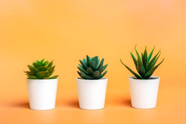 Pastel turuncu arka planda üç mini sulu tencere.