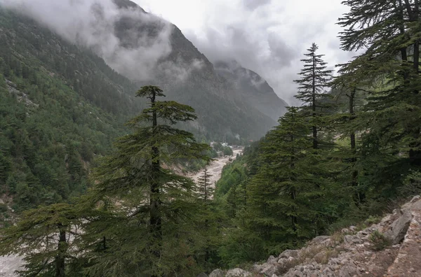 Gangotri Uno Dei Principali Luoghi Sacri Indù Pellegrinaggio Himalaya Sentiero — Foto Stock