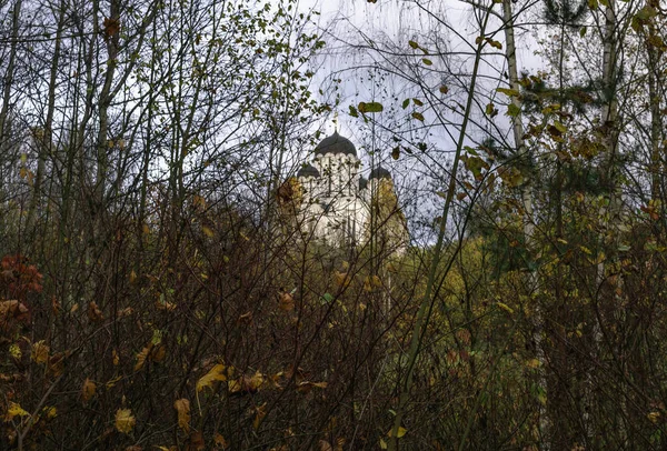 Tempel Des Mutters Gottes Icon Joy All Sorry Dem Stadt — Stockfoto