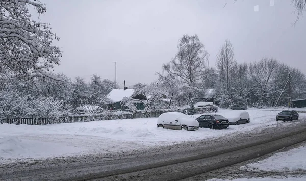 在雪地里 白俄罗斯首都明斯克市 — 图库照片