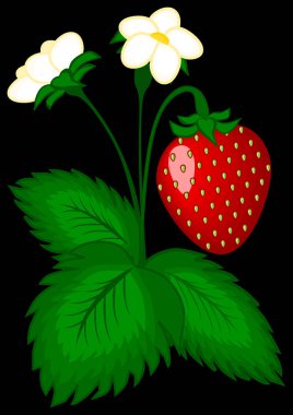 Çilek çalıların üzerinde - dikey çizim. Bir kitap ya da not defteri, kartpostal ya da telefon için ekran koruyucu, poster.