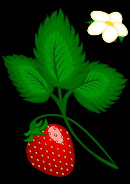 Çilek çalıların üzerinde - dikey çizim. Bir kitap ya da not defteri, kartpostal ya da telefon için ekran koruyucu, poster.