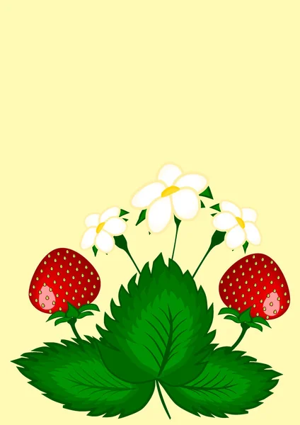 Strawberry Berries Bush Vertical Illustration Cover Book Notepad Postcard Screensaver — Stock Photo, Image