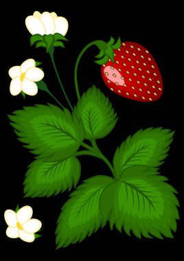 Çilek çalıların üzerinde - dikey çizim. Bir kitap ya da not defteri, kartpostal ya da telefon için ekran koruyucu, poster.