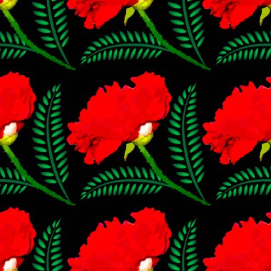 Siyah arka planda kırmızı terry poppy - çizim. Kare. Yalnız bir çiçek. Bitkiler. Kusursuz doku, desensiz doku, desen