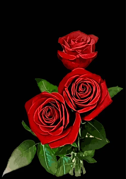 Három Vörös Rózsa Fekete Alapon Képeslap Függőleges Elkülöníteni Virágok — Stock Vector