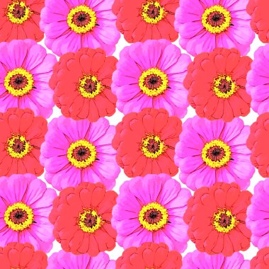 Kare bir arka planda kusursuz yaz deseni - gerberas çiçekleri. Bitkiler, tatil, parlak buket