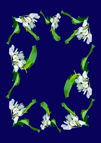 Marcos Una Rama Flores Manzana Fondo Azul Imagen Vertical Aislar — Vector de stock