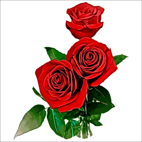 Regalo Ramo Tres Rosas Rojas Flores Sobre Fondo Cuadrado Blanco — Archivo Imágenes Vectoriales