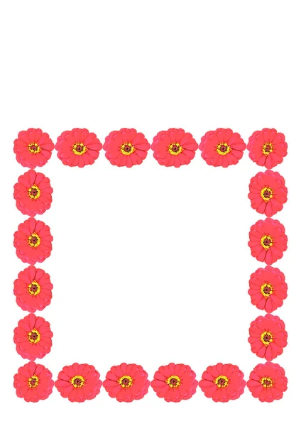 Cadres Lumineux Été Motifs Floraux Fleurs Gerbera Couverture Pour Carnet — Image vectorielle