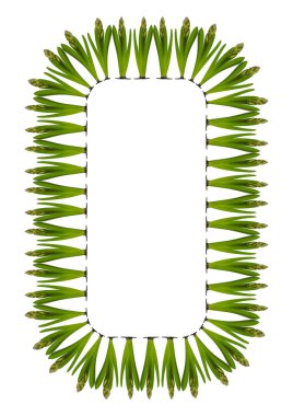 Bahar. Sümbül ampullerinden lanetlenmişler. Dikey beyaz bir A4 formatında çerçeve. İzole et. Mevsimler. Bitkiler.