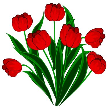 Red tulips. Illustration - flowers on a white background. Isolate.